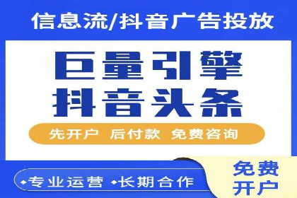 百度竞价广告的投放策略与成功案例分析